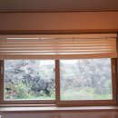 한동스테이 이미지