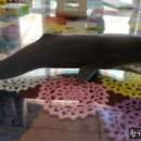 아빠와 고래 이미지