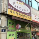 코리아 K9 애견훈련소 | 노원구애견샵 코리아애견훈련소 사람들의 리뷰를 확인하세요