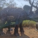 제주아이 이미지