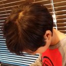 설지오