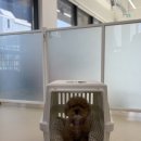 바우라움 메인캠퍼스 이미지