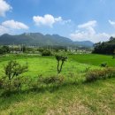 강진호수농장 이미지