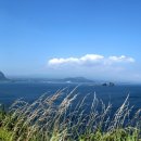 파노라마 제주 이미지