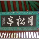 월송정月松亭 티스토리