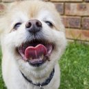 독사랑동물병원 이미지