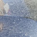 과천상사 세차장 이미지