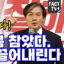 이것이 조국의 명연설이다 이미지