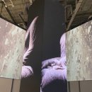 (주)상상피트니스 벡스코 | 🏦제48차 유네스코 세계유산위원회 대한민국관 후기 | 부산 벡스코 무료 전시 관람