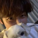 (주)마루펫 이미지