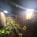 카페피앤피