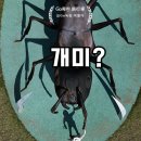 동강생태공원생태정보관 네이버블로그
