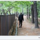 두루봉근린공원 이미지