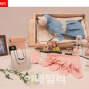 스카이펫