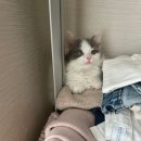 아이조아요양보호소 동탄점 이미지