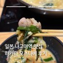 오오야마 | 일본 나고야역 맛집 하카타 모츠나베 오오야마 JR타워점 메뉴 추천 후기