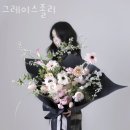 그레이스졸리