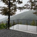 유명한캠핑장 | 가평 오스트리아 캠핑장 다녀온 후기 | 운무로 유명한 숲속 캠핑장