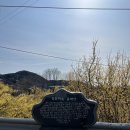 구례경로당앞 이미지