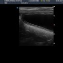 울산 쉼표동물병원 이미지