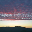 동강전망자연휴양림 이미지