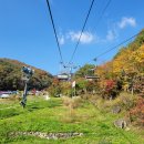 화담메디 | 2025년 화담숲 예약 꿀팁 - 성수기 일정 및 예매 오픈일 정보. 지난해 예매 후기까지!!