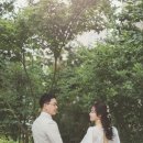 비니비치 이미지