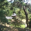 소쇄원(주차장) Daum카페