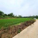 홍성공인중개사사무소 이미지