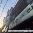 [종로/경복궁역 맛집] 강구미주구리: 동해안 자연산 모듬회와 비법 초장의 마법