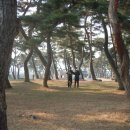 백마강길 이미지