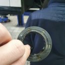 젠트리모토 이미지