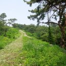 구봉1교 Daum카페