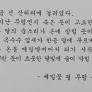 봉평 이미지