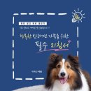 서울행복약국 이미지