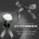 경희대 에이스태권도 이미지