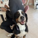 도킹어바웃 이미지