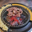 갈매기 먹짱 - 동구 | 갈매기 먹짱