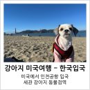 공항 동물병원 | [ 강아지 미국 해외여행 ] 인천공항 입국 세관 동물검역 후기, 반려견 미국 해외에서 한국 입국, 여자...