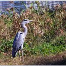 공항교강변공원 이미지