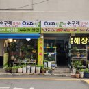 수원시 팔달구 팔달문로75번길 이미지