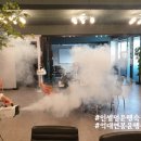 인셀덤사천용현대리점 | #활기찬인셀덤 #용현지점 #오늘도힘차게