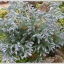 해찬농원 이미지