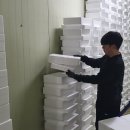 하나뜰농장 네이버블로그