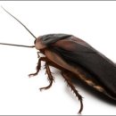 활기찬한의원 이미지