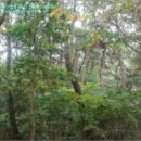 반송동251 이미지