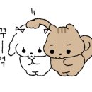 파크랜드 군산직영상설점 네이버블로그