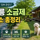 소금제 | 강릉 소금제 숙소 총정리, 소금강 계곡 앞 독채 촌캉스