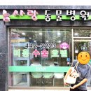 늘사랑동물병원 이미지