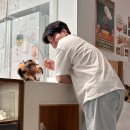 꾹꾹이 하는 고양이(kneading cats) | / 고영님들이 51마리 상주하는 고양이카페 / 김포 고영주택